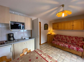 Mignon studio proche centre de Châtel avec Multi Pass à 3€/jour/personne! - FR-1-693-78